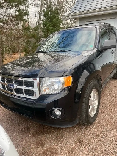 2012 Ford Escape XLT AWD Image# 1