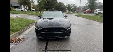 2019 Mustang GT Premium Image# 1