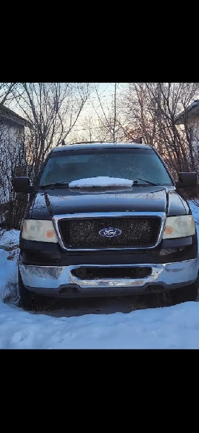 2007 F-150 stepside 5.4L V-8 Image# 1