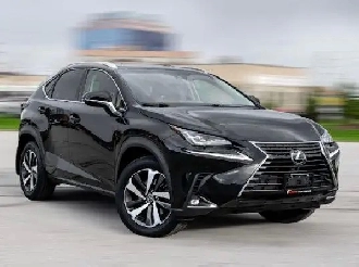 2019 Lexus NX 300 EXECUTIVE PKG|BROWN INT|NAV|ROOF|BACKUP|ACC|HU Image# 1