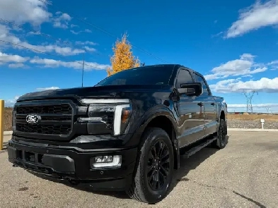 IMMACULATE LARIAT F150 Image# 1