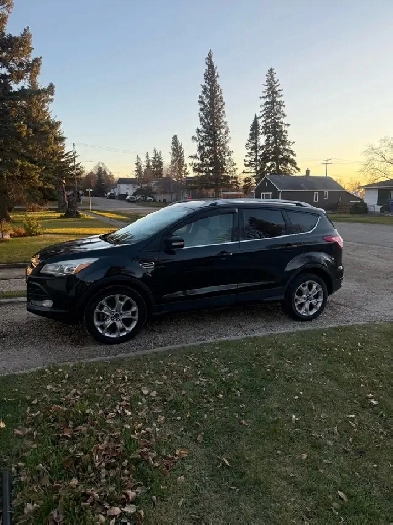 2014 Ford Escape Image# 1