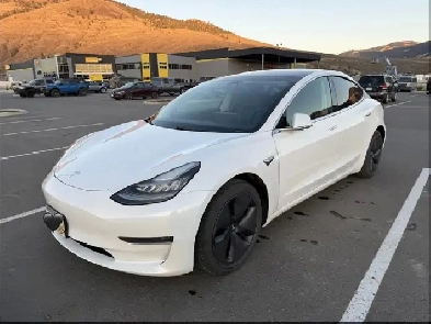 2020 Tesla Model 3 SR  RWD Image# 1