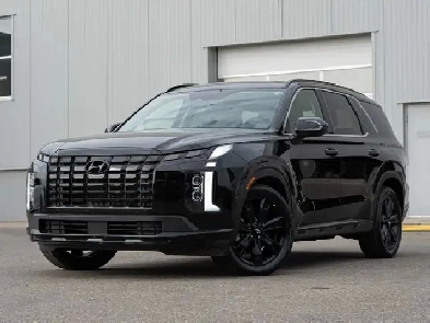 2025 Hyundai Palisade Urban Image# 1