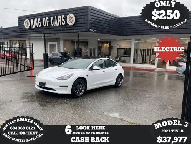 2023 TESLA MODEL 3 Image# 1