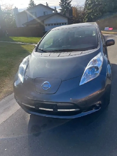 2013 Nissan Leaf Electric Low Milage Active Status Image# 1