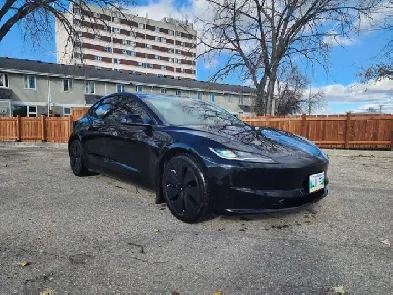 Tesla Model 3 Long Range (AWD) Image# 1