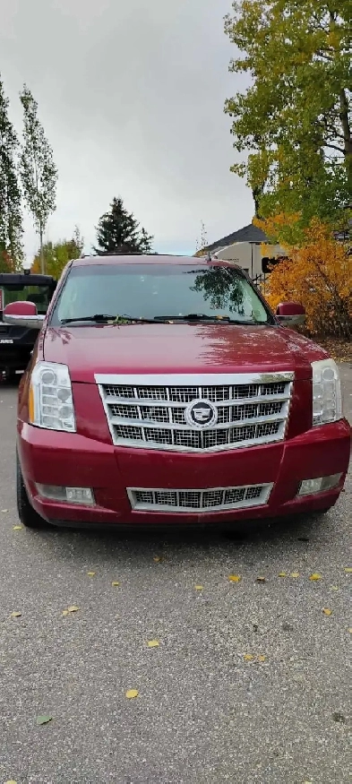 2010 Cadillac Escalade ESV Image# 1