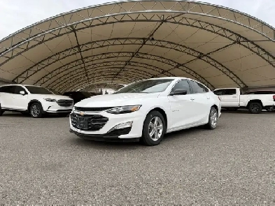 2023 Chevrolet Malibu Sdn LS w-1LS Image# 1