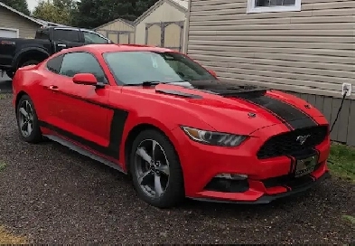 2015 Mustang Image# 1