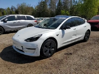 2023 Tesla Model 3 Base Image# 1