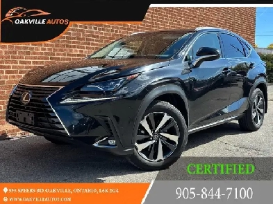 2018 Lexus NX NX 300 Executive Pkg Image# 1