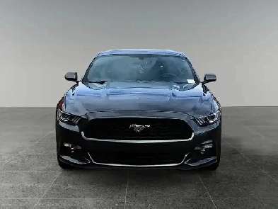 2017 Ford Mustang 2dr Fastback EcoBoost Image# 1