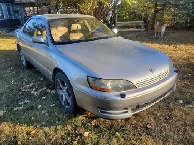1996 Lexus ES 300 Image# 1