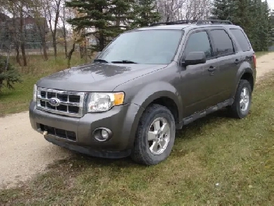 2011 Ford Escape XLT with safety Image# 1