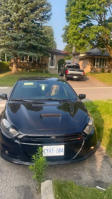 2016 Dodge Dart Image# 1