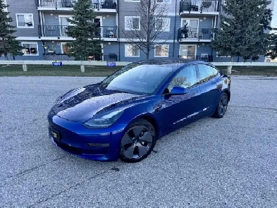 2022 TESLA MODEL 3 Image# 1