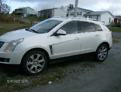 2010 Cadillac SRX for sale Image# 1