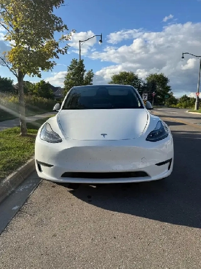 2022 Tesla Model Y Performance White Image# 1