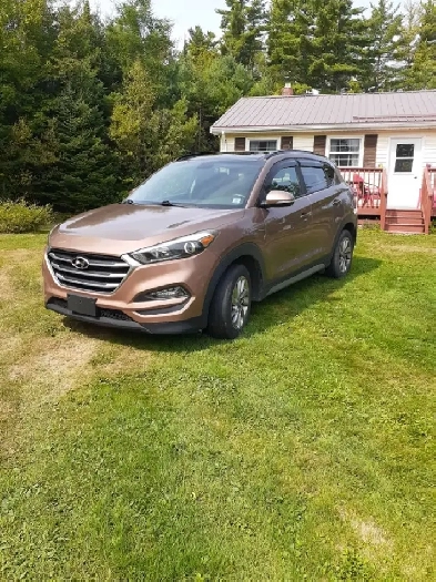 2017 Hyundai Tucson Image# 1