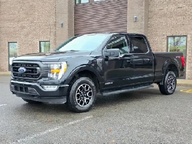Ford F-150 XLT Sport Powerboost 2022 Image# 1