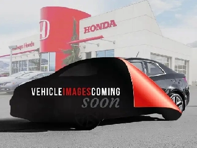 2023 Ford F-150 XL - 3.5L | TOW HOOKS | 4X4 Image# 1