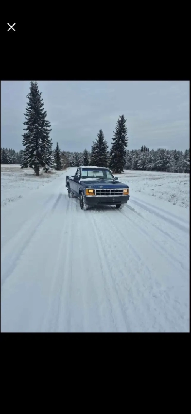 1995 Dodge Dakota V6 Auto Image# 1
