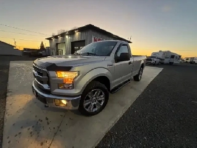 2017 FORD F-150 XLT 4X4  5.0L V8  REGULAR CAB 8' BOX  CERTIFI Image# 1