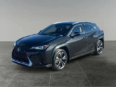 2022 Lexus UX 250H UX 250H Premium Image# 1