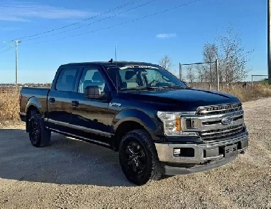 2020 Ford F-150 XLT Image# 1