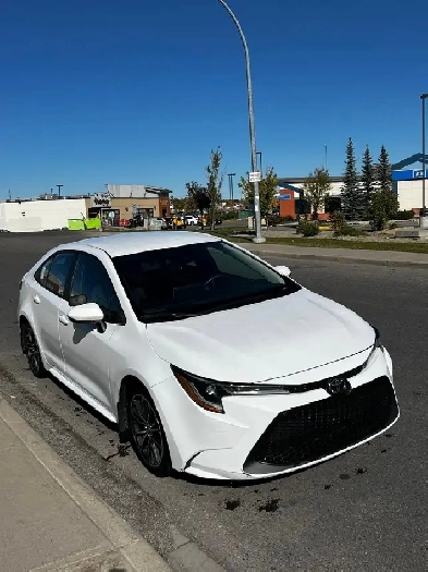 Toyota Corolla 2020 Le (Active) Has Hail - CarFax attached Image# 1