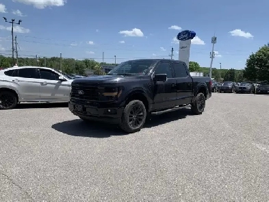 2025 Ford F-150 XLT - Roof/Black Pack/Office Pack/303A!! Image# 1