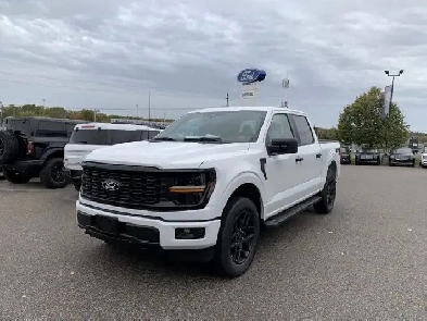 2025 Ford F-150 STX - Black Pack/20s/Trailer Brakes and more!! Image# 1