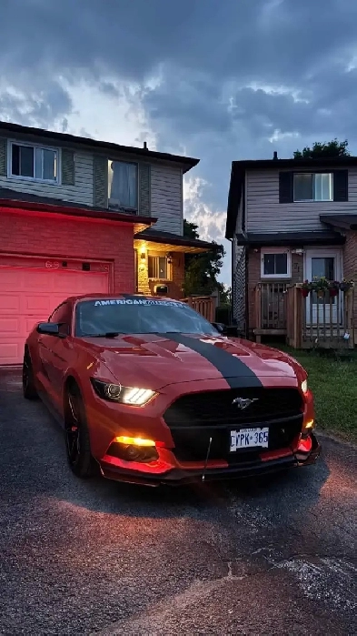 Ford Mustang Image# 1