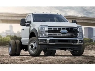 2025 Ford F-550 XLT - Diesel Engine - Running Boards Image# 1