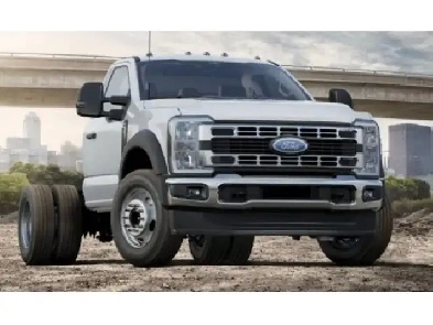 2025 Ford F-600 Super Duty DRW XLT - Running Boards Image# 1