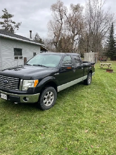2010 ford f150 Image# 1