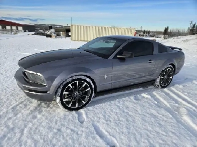 2006 Ford Mustang Image# 1