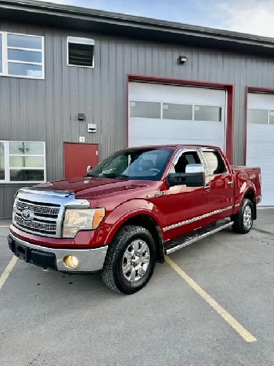 2010 Ford F150 Platinum New Safety No Accidents Image# 1