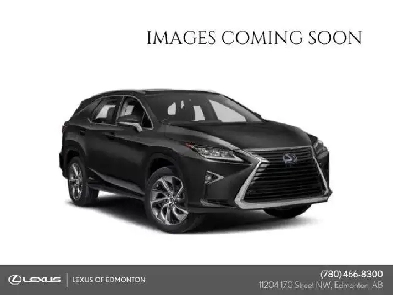 2019 Lexus RX 350 EXECUTIVE PACKAGE Image# 1