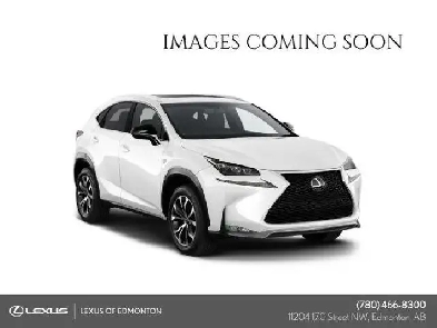 2017 Lexus NX 200T F SPORT SERIES 2 Image# 1