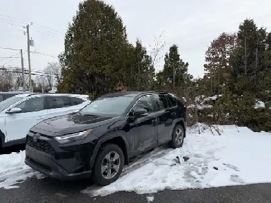 Toyota RAV4 XLE TI 2022 à vendre Image# 1