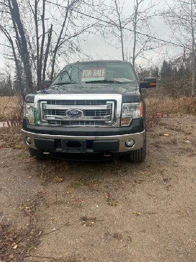 2014 Ford F150 4x4 Image# 1