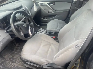 Elentra 2013 Image# 1