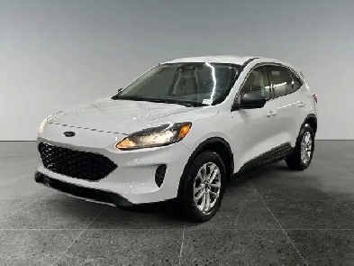 2022 Ford Escape SE Image# 1
