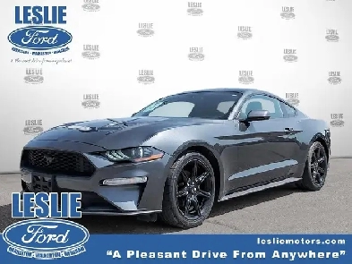 2019 Ford Mustang EcoBoost Fastback Image# 1