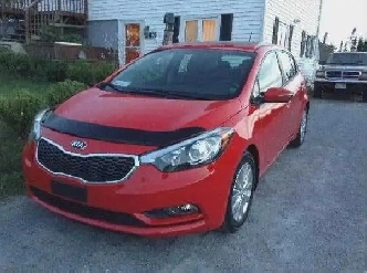 2016 Kia Forte 5 for Sale Image# 1