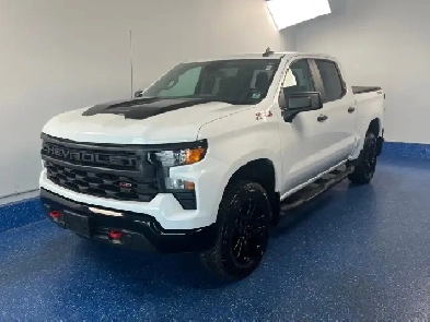 2023 Chevrolet Silverado 1500 Image# 1