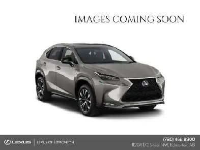 2017 Lexus NX 200T F SPORT SERIES 2 Image# 1