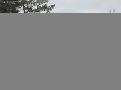 2016 Mazda CX-5 GS Image# 1